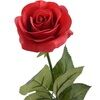 pinkinfrench